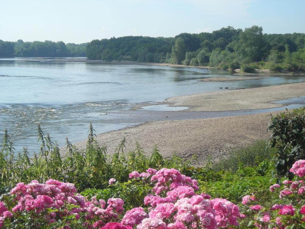 Hotel De La Loire Saint-Satur Eksteriør bilde